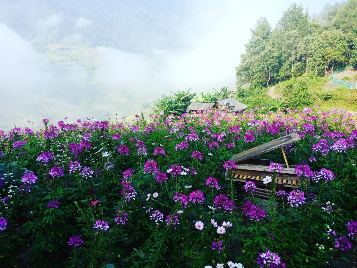 Mu Cang Chai Big View Homestay, Tour & Vegetarian מראה חיצוני תמונה