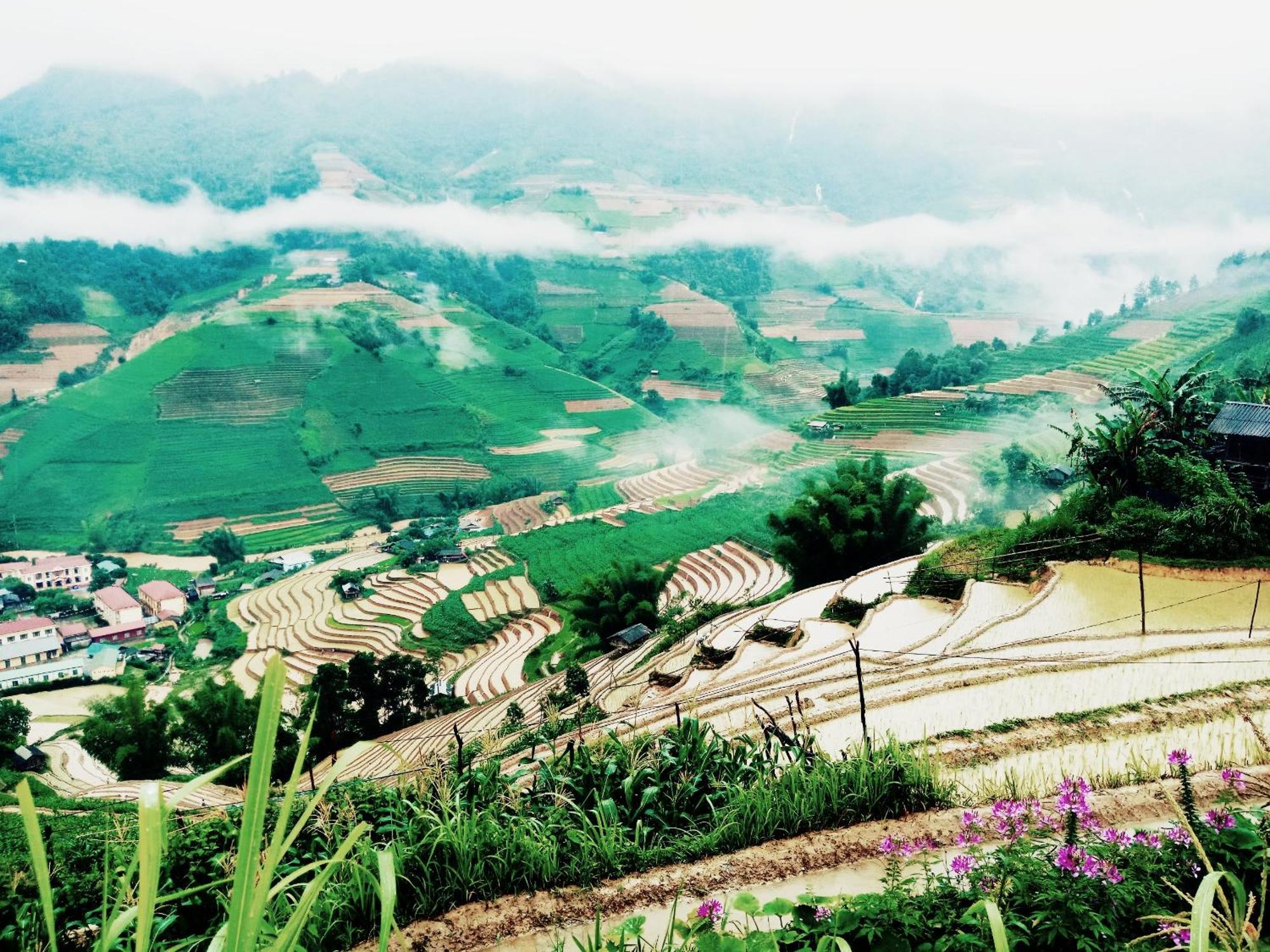 Mu Cang Chai Big View Homestay, Tour & Vegetarian מראה חיצוני תמונה